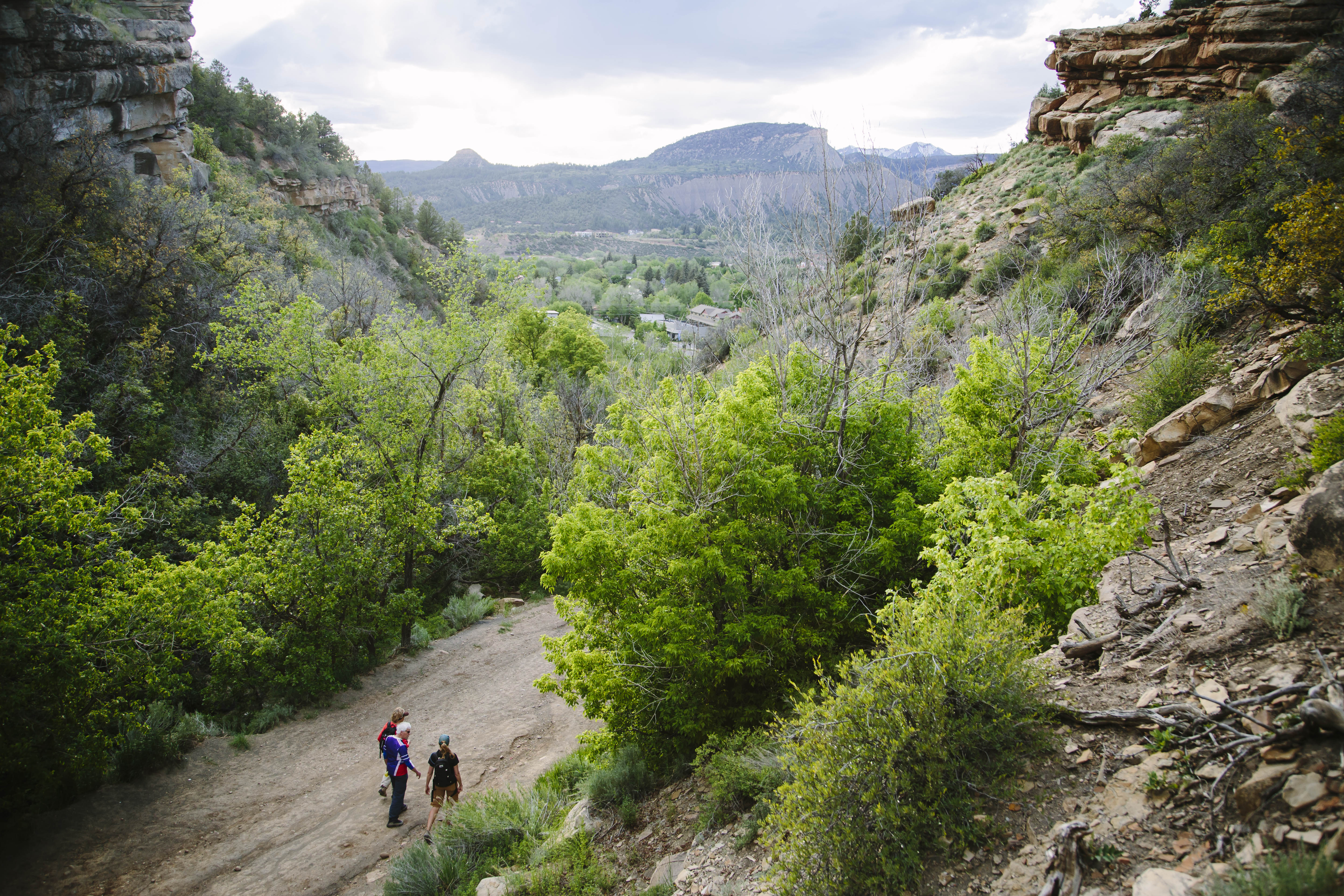 Photo of Horse Gulch by Joel Caldwell