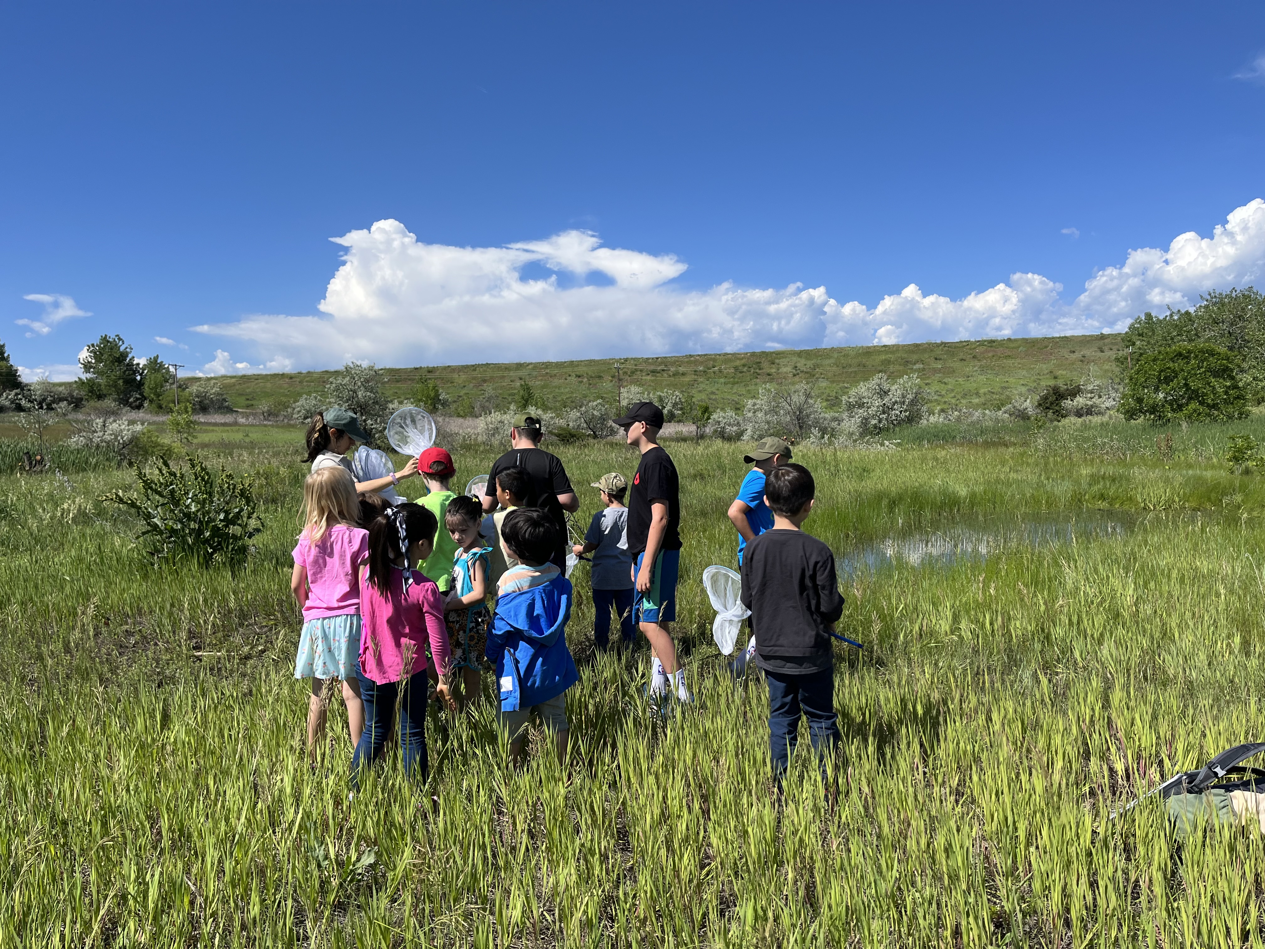 Susana and Jr Rangers toad hunting. Photo courtesy of City of Westminster 