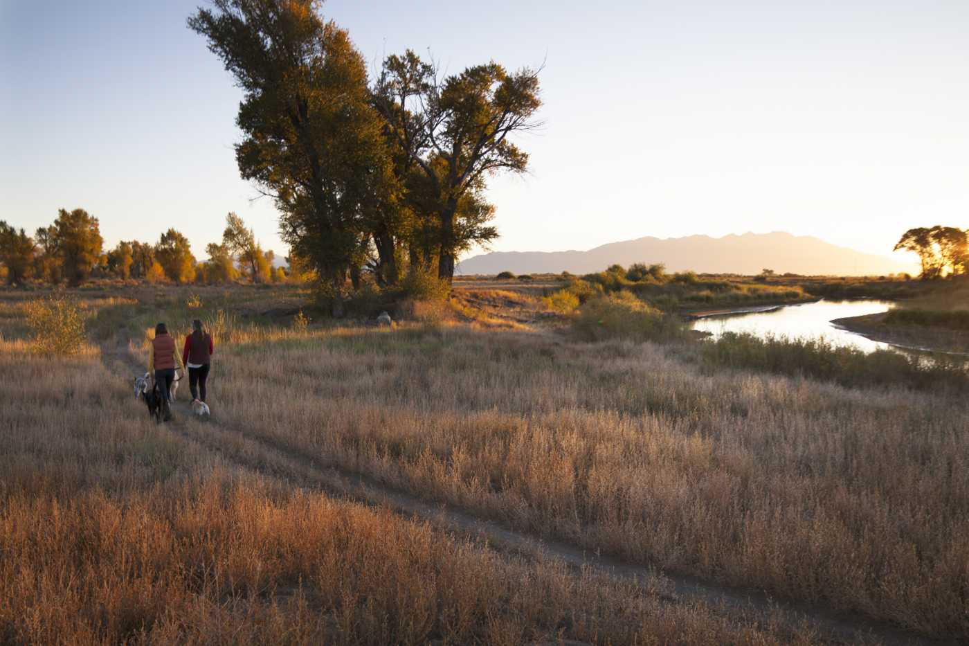 Alamosa Riparian Park. Photo by Christi Bode, courtesy of Western Rivers Conservancy.