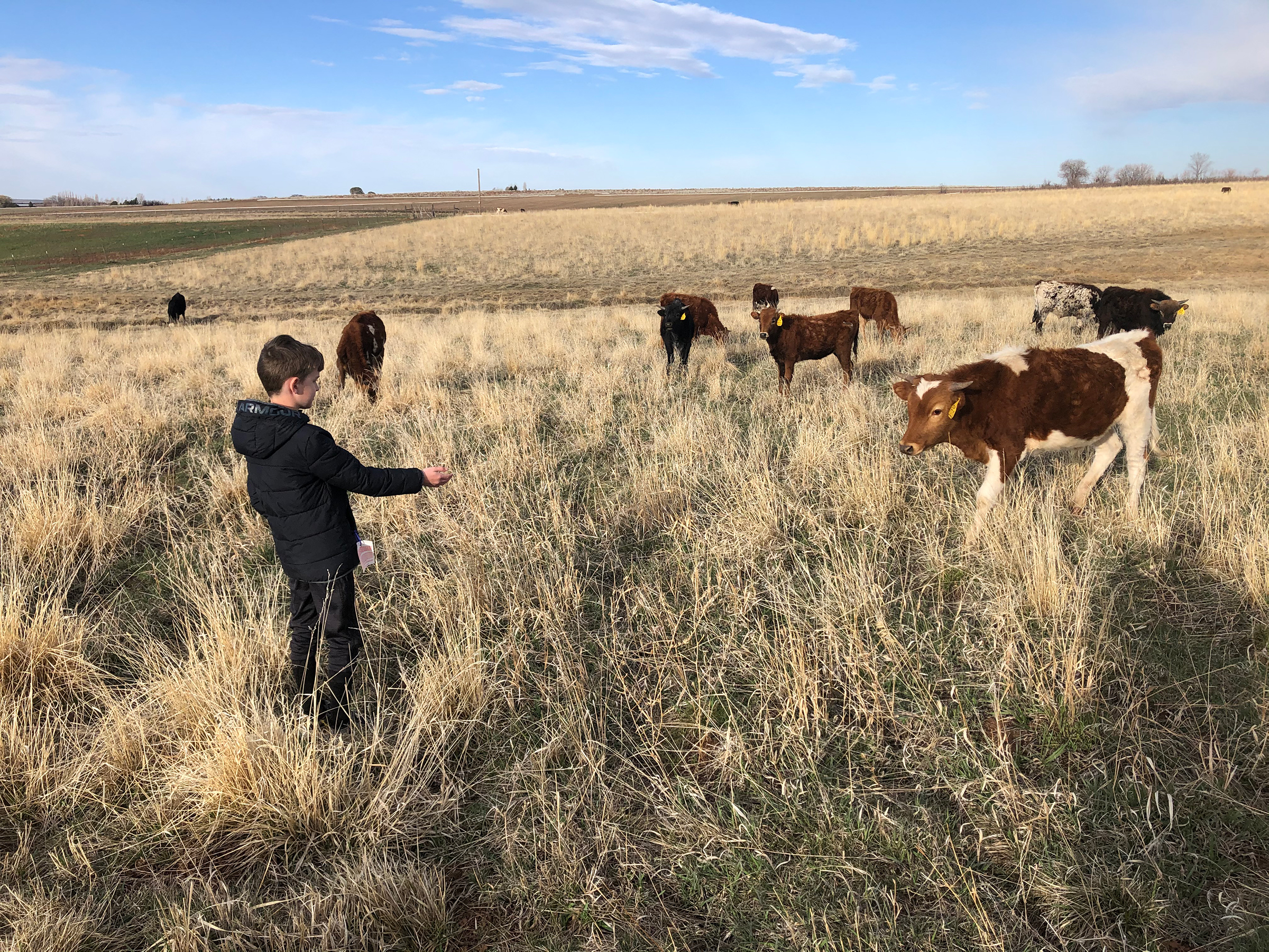 Fozzie's Farm. Photos courtesy of Montezuma Land Conservancy