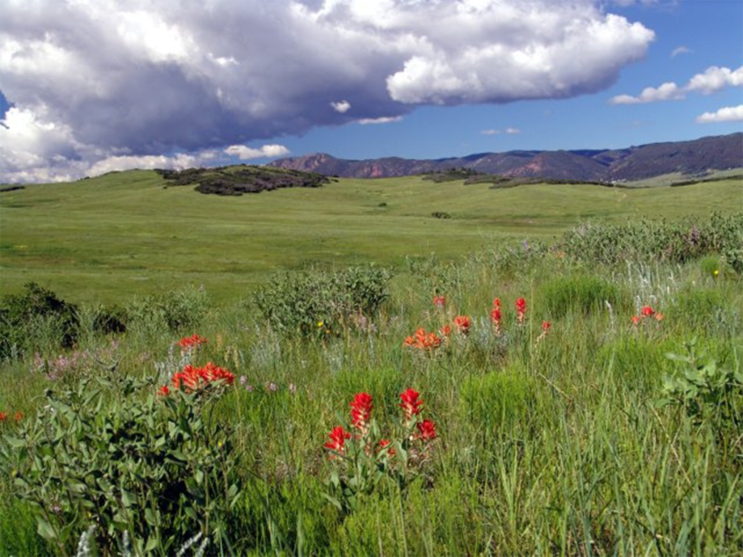 Greenland Ranch. Photo courtesy Douglas County.