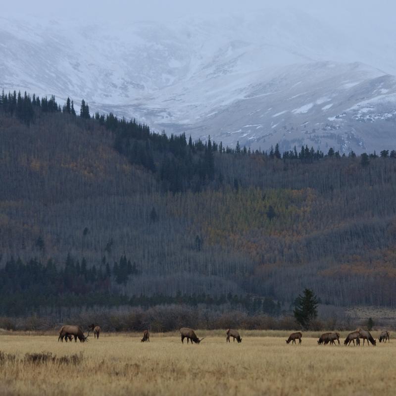 Photo by Liam Doran, Courtesy of Beartooth Capital