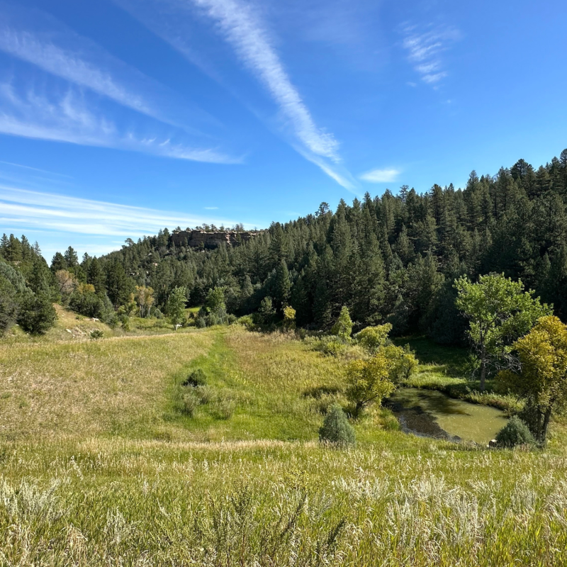Image of Lost Canyon Ranch featuring a green meadow surrounded by lush forests and blue sky. 