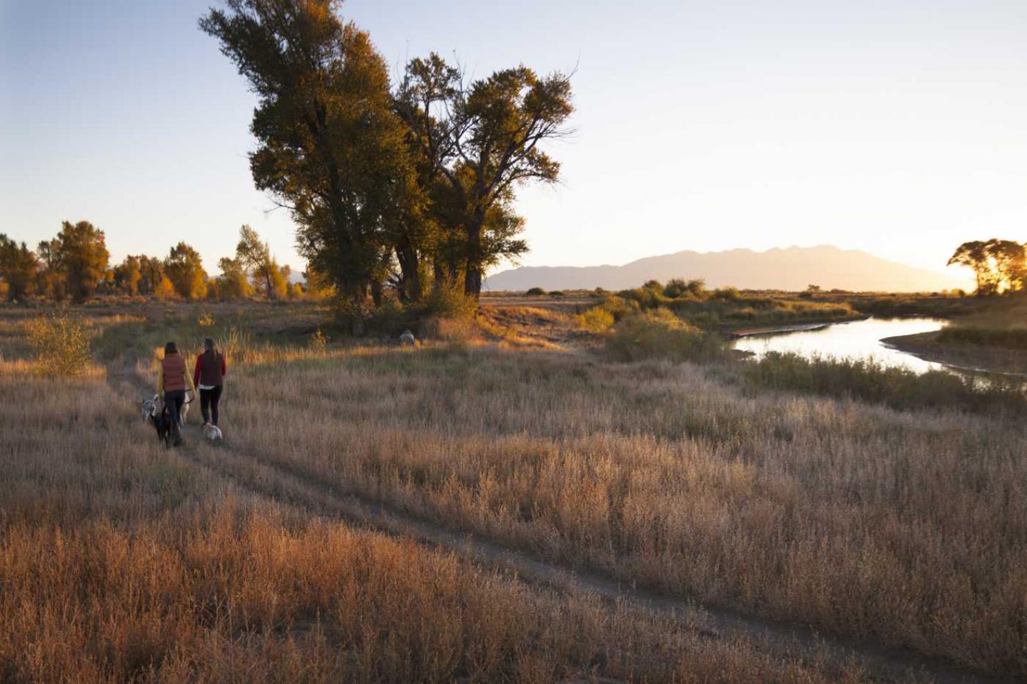 Alamosa Riparian Park. Photo by Christi Bode, courtesy of Western Rivers Conservancy.