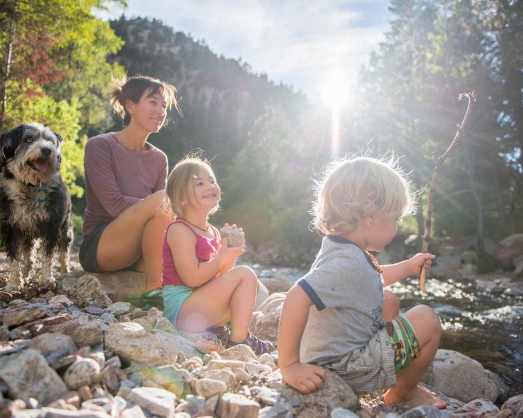 Community Vitality
