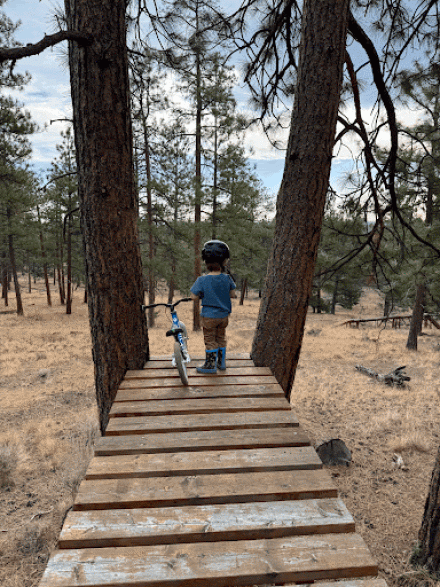 Photo taken from the back of a small child with his bike on what looks like a wooden ramp.