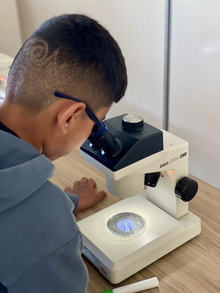 Photo of a young kid with glasses looking into a microscope. 